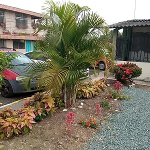 María , Guayaquil Ecuador